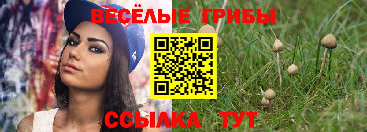 Псилоцибиновые грибы MAGIC MUSHROOMS Шали